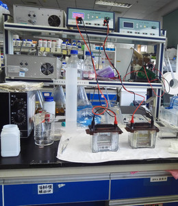 Xinqidi Protein Testing Laboratory