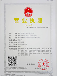 Chinese Government License